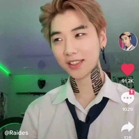 Raides