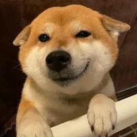 mị là bác sĩ xênh đẹp