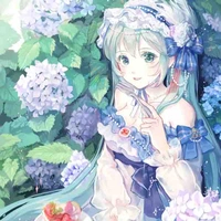 Midori Ajisai