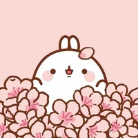 Bé thỏ hồng