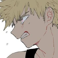 bakugou(kacchan)