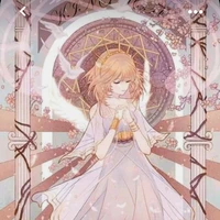 🌸Sakura Kinomoto ( bé con, em)