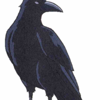 Quạ của SQĐ