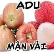 Mận vải