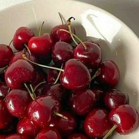 cherryxinhdeptuyettran (cđm)