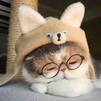 Tg quyền lực nhất truyện