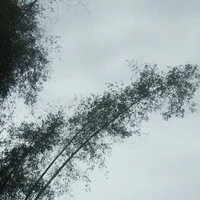 Học sinh trong trường