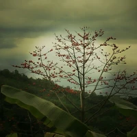 Nhân vật quần chúng