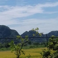 Mấy đứa còn lại