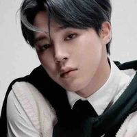 Park Jimin (Vai Lee Min Ho)