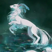 ruma_ thú cưng của romi_