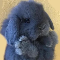 Bông(hệ thống 001)