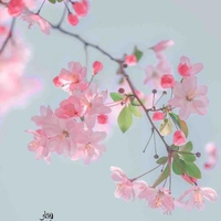 Tác giả