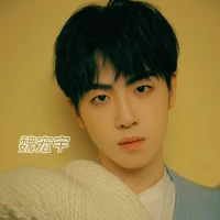 Wei Hongyu