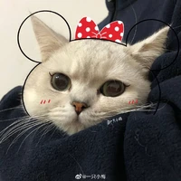 :)))