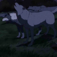 Tộc trưởng tộc sói 