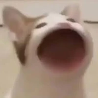 hai anh em nào đó