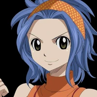 levy