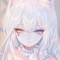 Y/N