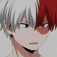 Todoroki Shoto