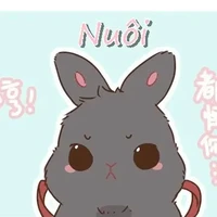 NVTH