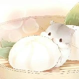 tác giả ây《 ● w ● 》