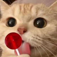 Hệ thống- Tiểu khả ái