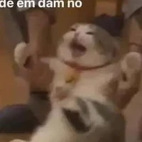 cả hai