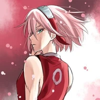 sakura