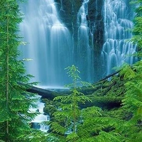 nhân vật tổng hợp