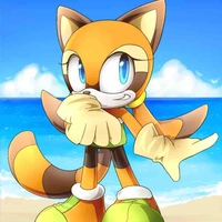 Marine The Racoon