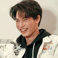 Win METAWIN