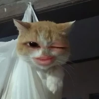 Tác Giả Bị Khùng