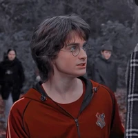 Harry James Potter