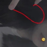 Yến