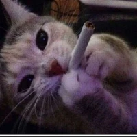 Bắp luộc đêy 🌽[ tg ]