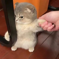 Ta Đây Chính Là Tác Giả