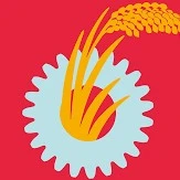 C.Japan-Engineer