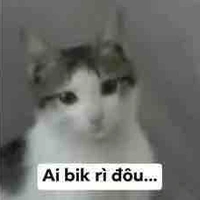 Hoa-con đào hoa của lớp