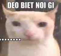 Hà-con "đập géi"