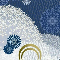 NV phụ