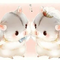 Hệ thống 108(Wendy)