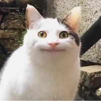 Tác giả Cư tề