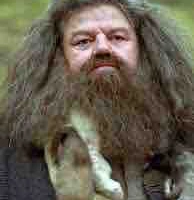 Hagrid Rubeus
