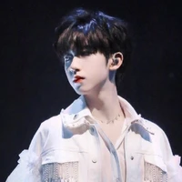 Hạ Tuấn Lâm
