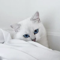 Người giám hộ-July