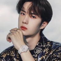 Vương Nhất Bác ( papa cậu )