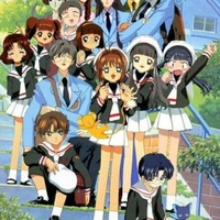 5 người bạn của Sakura