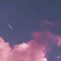 NVP
