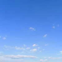 tổng NV
